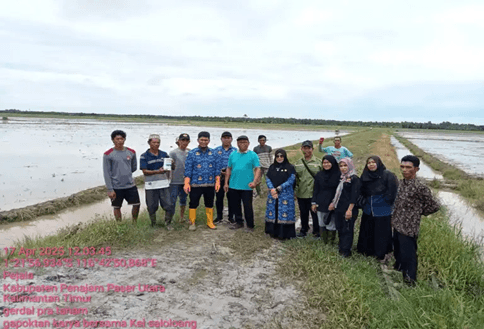 Distan PPU Gencarkan Pengendalian Tikus di Lahan Pertanian Jelang Musim Tanam