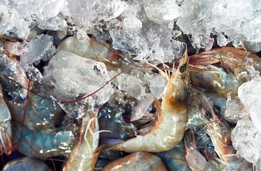 Udang Terkontaminasi Lolos Badan Karantina, DPR: Reputasi RI Bisa Tercoreng