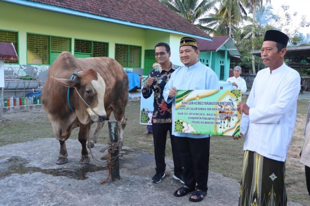 Picture10 Mudyat Noor Serahkan Sapi Kurban Presiden Berbobot 910 Kilogram PROKALTIM