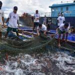 Rantai Distribusi Rugikan Nelayan, DKP PPU Upayakan Solusi