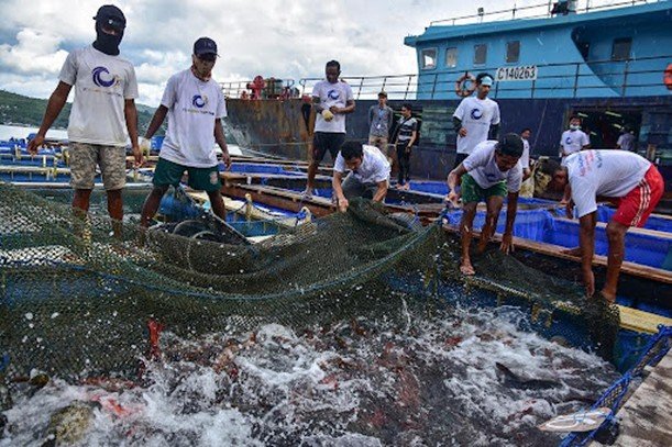 Picture15 Rantai Distribusi Rugikan Nelayan, DKP PPU Upayakan Solusi PROKALTIM