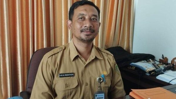 DPUPR Fokus Perbaikan Jangka Pendek Atasi Jembatan Riko