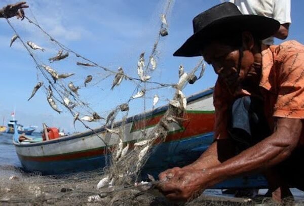 Margin Harga Jual Ikan Beda Jauh, DKP Anggap&hellip;