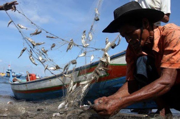 Picture4 2 Margin Harga Jual Ikan Beda Jauh, DKP Anggap Normal PROKALTIM