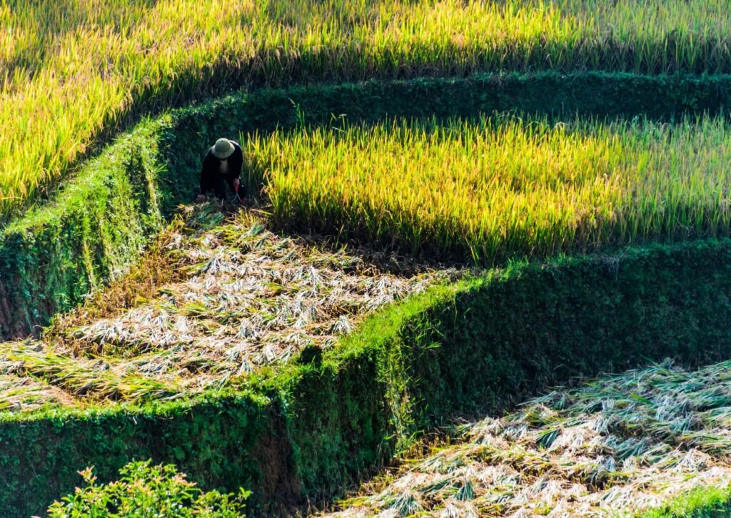 Foto berita protimes.co 20251224 141241 0000 Alih Fungsi Sawah Marak, DPR Tawarkan Solusi Swasembada PROKALTIM