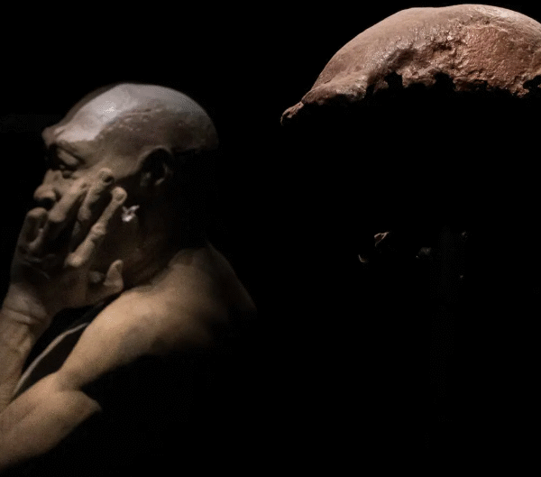 Belanda Kembalikan Fosil “Manusia Jawa” ke Indonesia, 40&hellip;