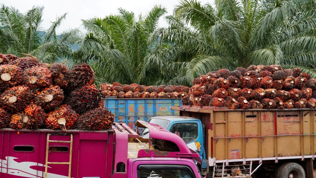 Indonesia mendesak Uni Eropa mematuhi putusan WTO soal diskriminasi sawit sebelum batas akhir periode implementasi.