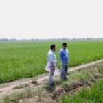 Tinjau Kawasan Industri di Indramayu, Menteri Nusron Pastikan Lahan Tidak Masuk ke LSD