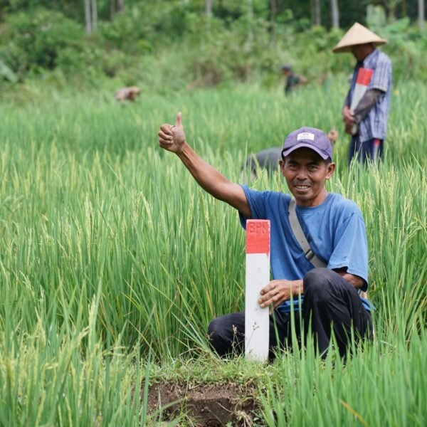 Simak Tips untuk Menjaga Tanah agar Tidak Diserobot&hellip;
