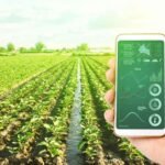 Anak Muda Didorong Masuk Agribisnis, Peluang Besar di Tengah Masuknya Konglomerat