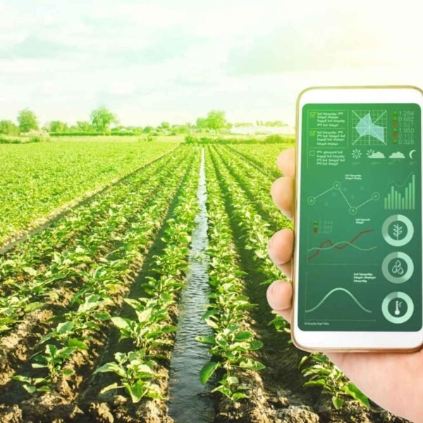 Anak Muda Didorong Masuk Agribisnis, Peluang Besar di&hellip;