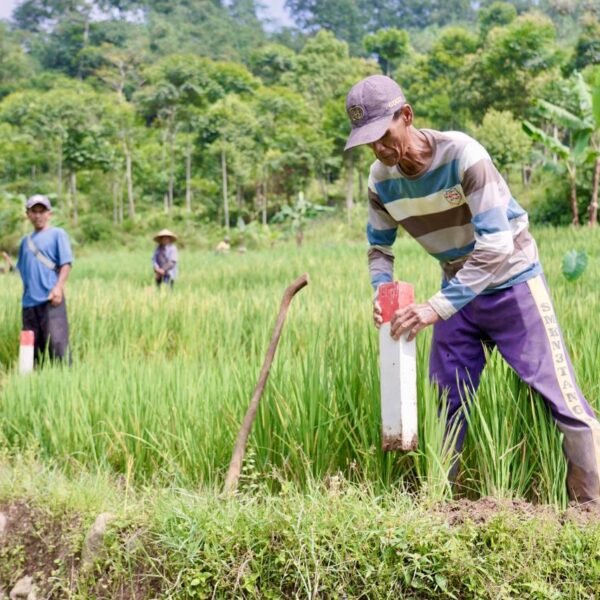 Pasang Patok, Cara Sederhana Cegah Sengketa Tanah dengan&hellip;