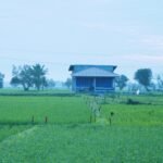 Mengenal Asas Kontradiktur Delimitasi, Kunci Kepastian Batas Bidang Tanah