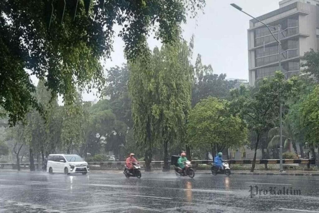 berita cuaca prokaltim 2 Tips Waspada Cuaca Ekstrem, Hujan Lebat dan Angin Kencang Bisa Datang Tiba-Tiba PROKALTIM
