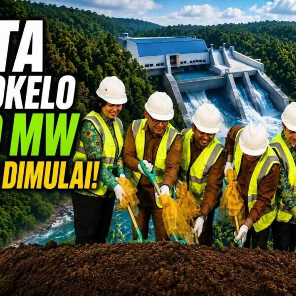 plta batoq kelo
