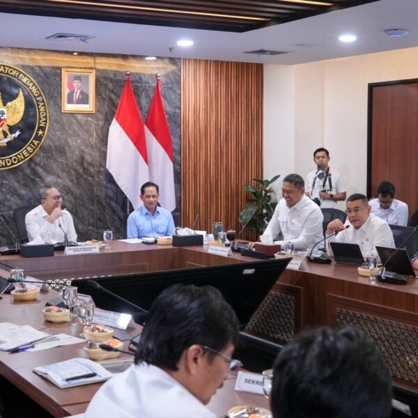 Laporkan Progres Dukungan KSPEAN Papua Selatan, Wamen Ossy&hellip;
