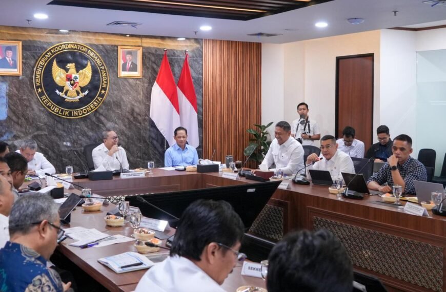 Laporkan Progres Dukungan KSPEAN Papua Selatan,&hellip;