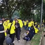 demo bem ui