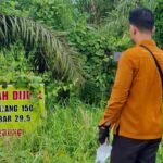 Kantor Pertanahan Kabupaten Paser Laksanakan Pengambilan Titik Sampel dalam Rangka Pembaruan Peta Zona Nilai Tanah