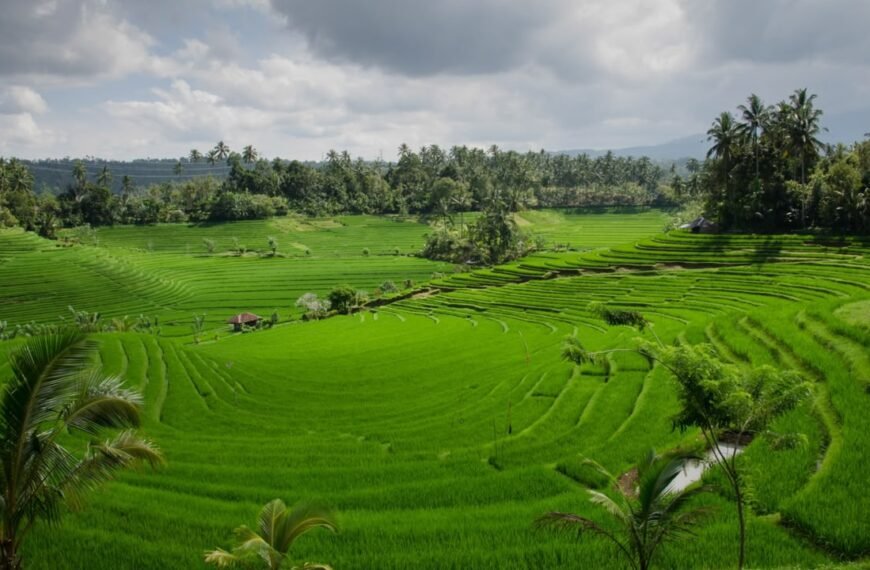 Lampaui Target, LP2B Capai 87,63% di&hellip;