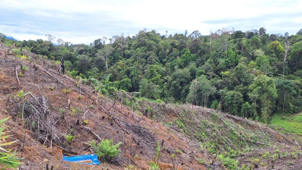 Pemulihan hak masyarakat menjadi salah satu mekanisme penyelesaian konflik agraria yang diatur dalam Undang-Undang (UU) Pengaturan Reforma Agraria
