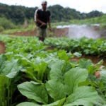 Anggaran Pertanian Naik, PKB : Harus Fokus ke Petani Milenial