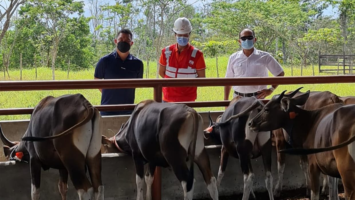 Program Yayasan Life After Mine Berhasil Lahirkan 3 Anak Sapi (Pedet) PROKALTIM 1 IMG 20210328 WA0013 Program Yayasan Life After Mine Berhasil Lahirkan 3 Anak Sapi (Pedet) PROKALTIM