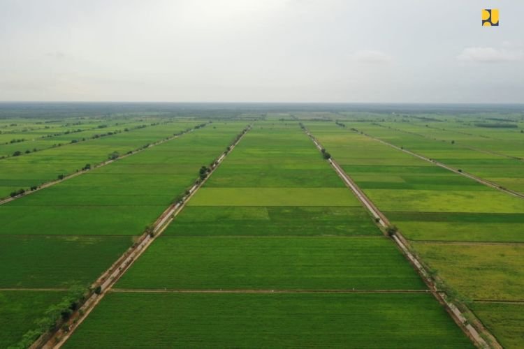 food estate Kukar Siapkan 7,865 hektar Lahan, Demi Tercapainya Pembangunan Food Estate PROKALTIM