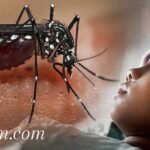 DBD Mengkhawatirkan, 1 Anak Meninggal