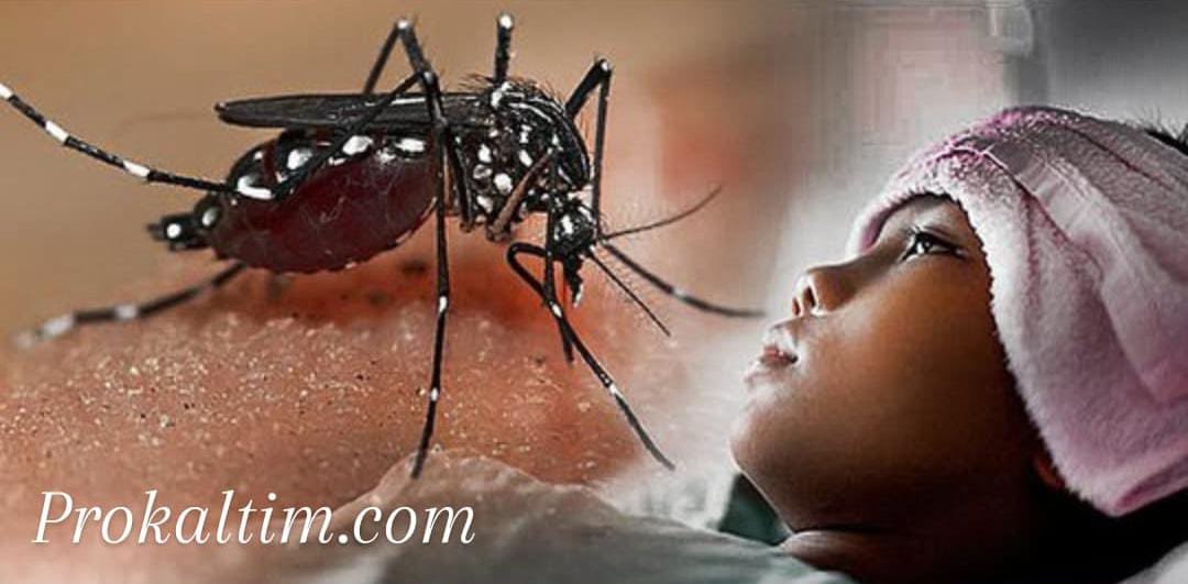 WhatsApp Image 2021 06 15 at 16.20.45 DBD Mengkhawatirkan, 1 Anak Meninggal PROKALTIM