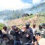 7 Haktare Ladang Ganja Di Gunung Lauser Dimusnahkan