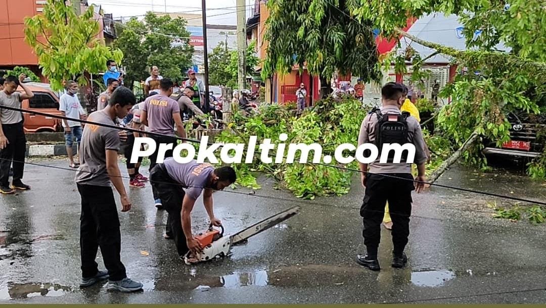 Pohon Tumbang, Antisipasi Gangguan, Polisi Sinergi Disdamkar PROKALTIM 1 WhatsApp Image 2021 10 15 at 16.04.19 Pohon Tumbang, Antisipasi Gangguan, Polisi Sinergi Disdamkar PROKALTIM