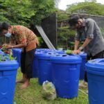 Inilah 9000 Ekor Budidaya Ikan Lele Dalam Ember Program Kecamatan Balkot