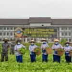 Dukung Ketahanan Pangan, Lanal Balikpapan Bersama Jalasenastri Panen Raya dan Penyebaran Bibit Ikan