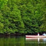 DPR-Pemerintah Sepakati Desa dan Kawasan Transmigrasi harus Lepas dari Kawasan Hutan