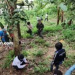 Geger Kabar Penculikan di Sentosa, Polisi: Tidak Benar!