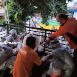 Sempat Diberi Tempat Tinggal, Pria Tanpa Identitas Meregang Nyawa, Wajah Penuh Darah