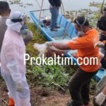 Polresta Samarinda Berkoordinasi Ke Puslabfor Polri, Soal Jasad Bayi Yang Ditemukan Membusuk Dalam Karung