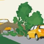 Antisipasi Pohon Tumbang, DLH Inventarisir Pohon Rawan Tumbang