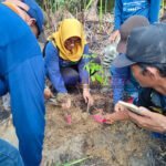 8000 Bibit Mangrove Disebar Di Tiga Daerah, Peringatan Hari Lingkungan Hidup