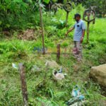 Potong Rumput, Abdul Rahman Tergeletak, Diduga Kesetrum