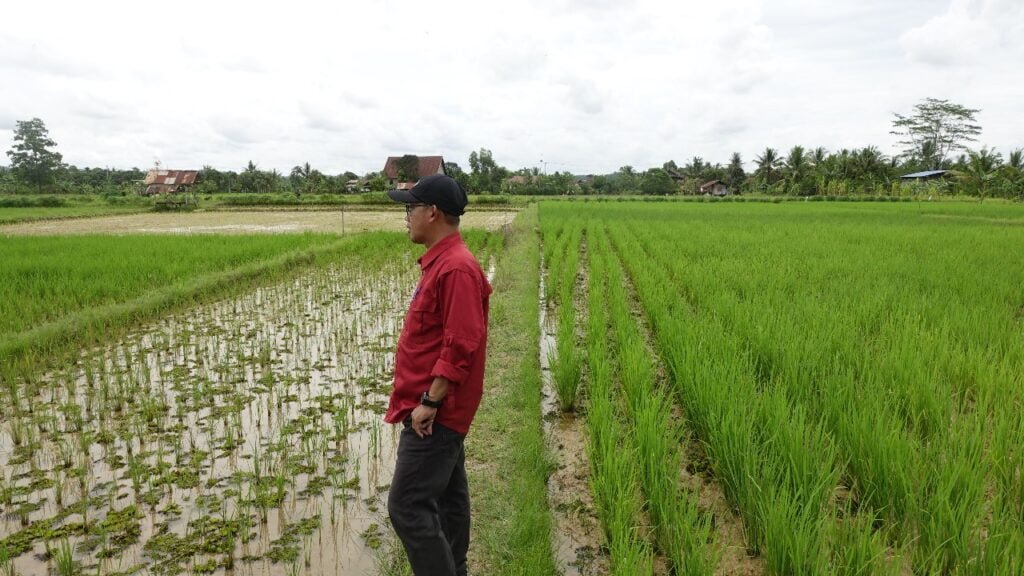 IMG 20231101 WA0006 Desa Loa Duri Ulu Kukar Tingkatan Sektor Pertanian PROKALTIM