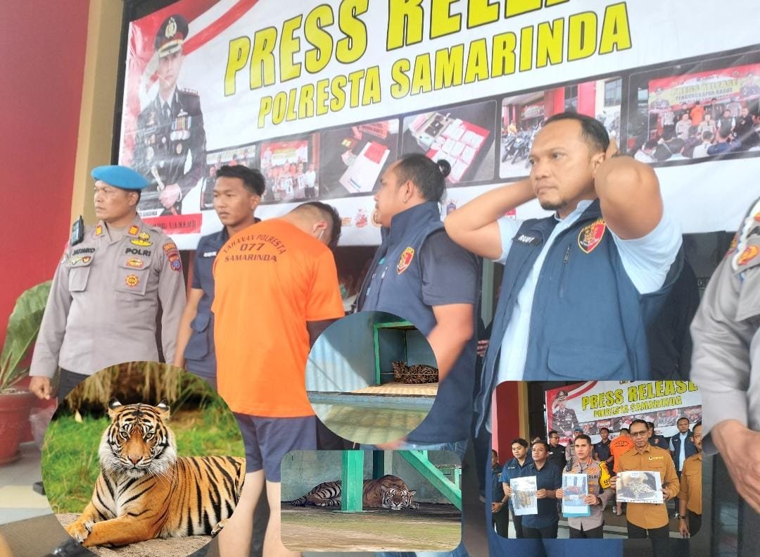Polisi Kembali Temukan Harimau di Rumah Andre