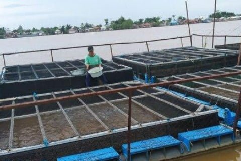 WhatsApp Image 2023 12 01 at 00.45.30 Desa Ponoragan Siap Jadi Produsen Bibit Ikan untuk IKN Nusantara PROKALTIM