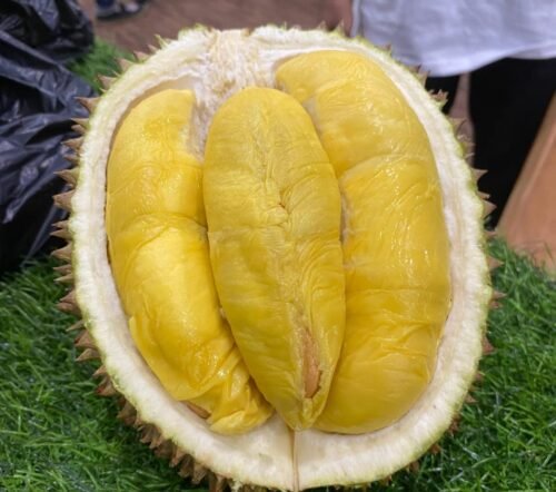 WhatsApp Image 2024 08 20 at 01.24.07 1 Ayo Merapat di Outlet Durian Viral dan Harga Terjangkau PROKALTIM