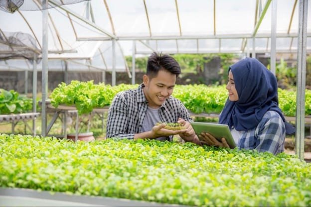Ilustrasi petani urban. (freepik)