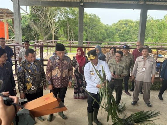 Picture5 PPU Dikembangkan Jadi Pusat Peternakan Sapi Berkelanjutan di Kaltim PROKALTIM