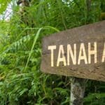 PKS Kesalkan Kasus Warga Seram Timur Dipenjara Karena Tebang Pohon di Lahan Adat