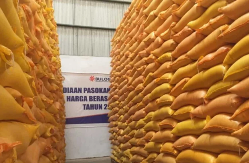 Stok Beras Bulog Menguning, DPR: Kebijakan Kementan-Bapanas Lambat dan Berbelit