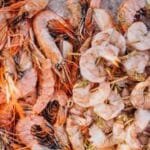 Udang Indonesia Terpapar Radioaktif, DPR: Ada Pengabaian terhadap Keamanan Pangan